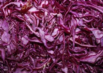 Rotkohl fein geschnitten