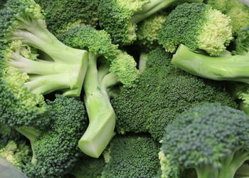 Broccoli küchenfertig